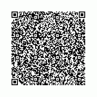 vCard 79505293011