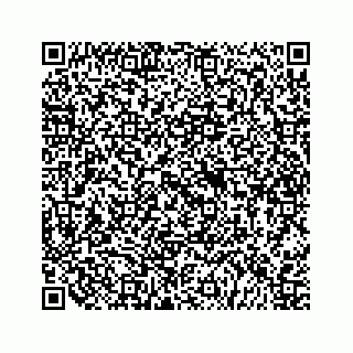 vCard 79505293013