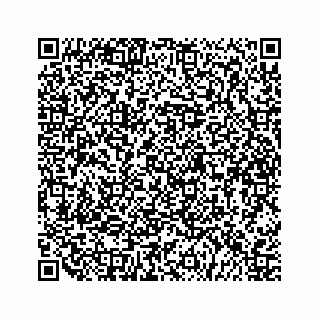 vCard 79505293102