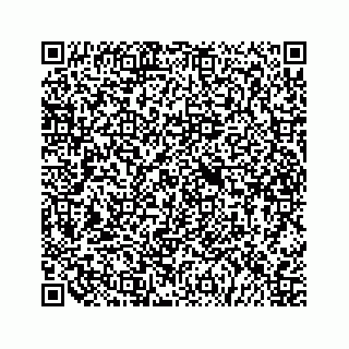 vCard 79505293123