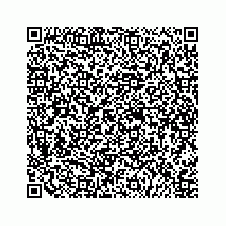 vCard 79505293133