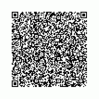 vCard 79505293134