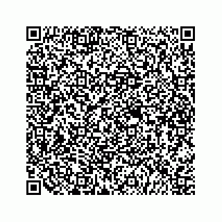 vCard 79505293141