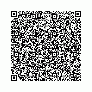 vCard 79505293145