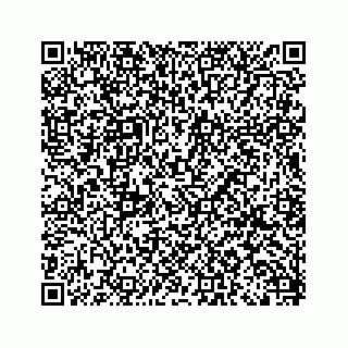 vCard 79505310002