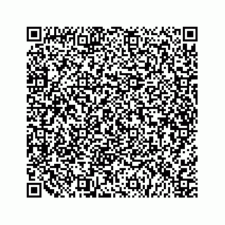 vCard 79505320039