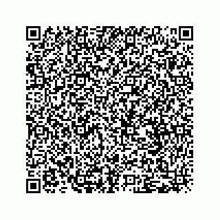 vCard 79505323929