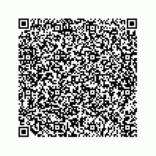 vCard 79505324033