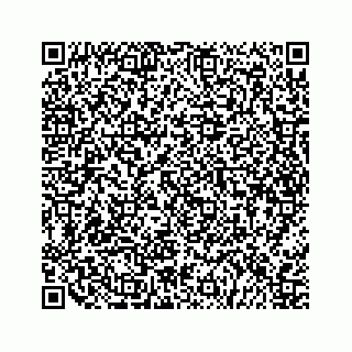 vCard 79505324133