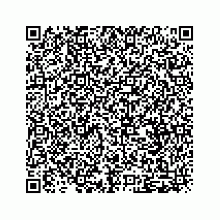 vCard 79505331069
