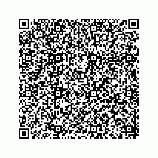 vCard 79505366013
