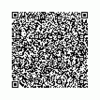 vCard 79505375839