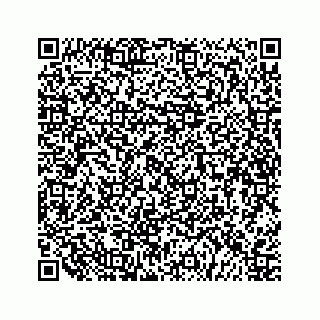vCard 79505390272