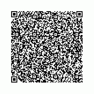 vCard 79505390273