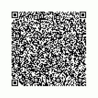 vCard 79505390277