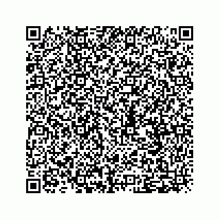 vCard 79505390281