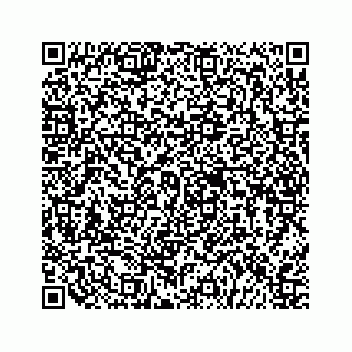 vCard 79505390285