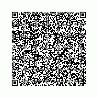 vCard 79505390287