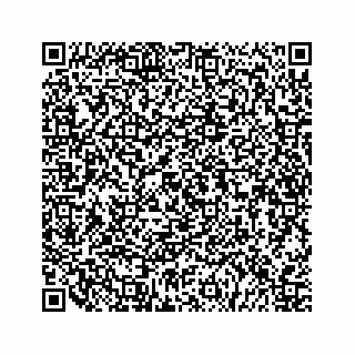 vCard 79505390530