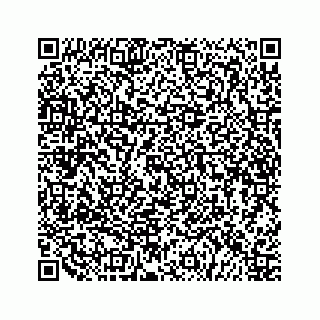 vCard 79505391245