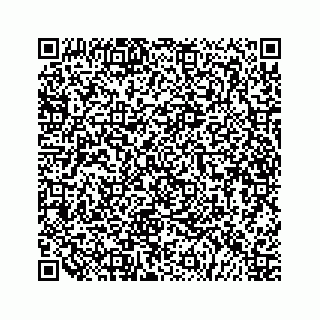 vCard 79505391251