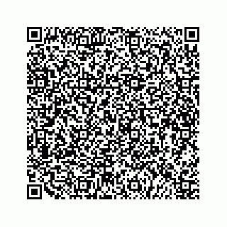 vCard 79505391252