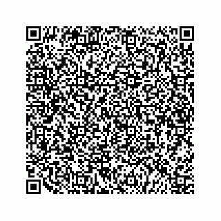 vCard 79505391253