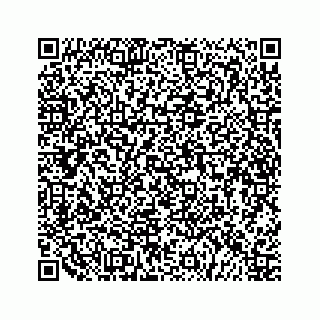 vCard 79505391272