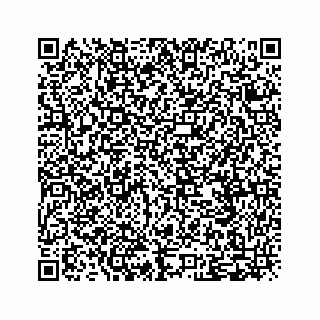vCard 79505391273