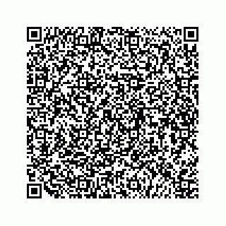 vCard 79505391279