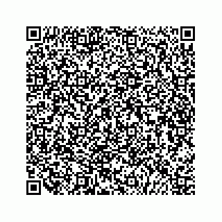 vCard 79505391308