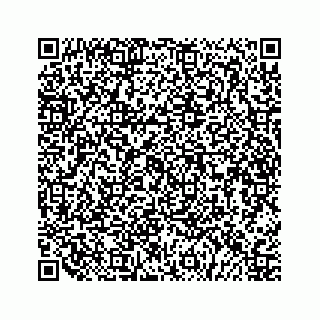 vCard 79505391310