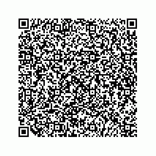 vCard 79505391311