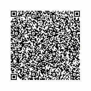 vCard 79505391314