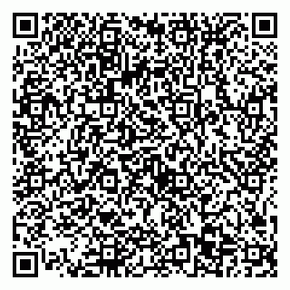 vCard 79505613539