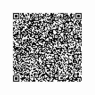 vCard 79506013339