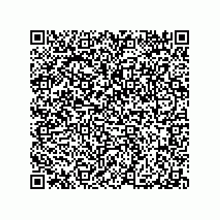 vCard 79506038100