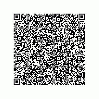 vCard 79506038293