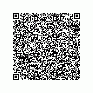 vCard 79506040403