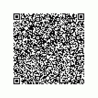 vCard 79506040907