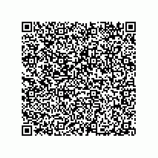 vCard 79506041209
