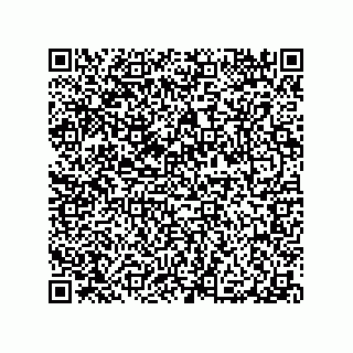 vCard 79506049293