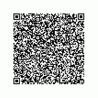 vCard 79506277381