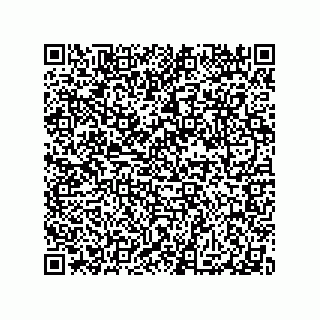 vCard 79506280294