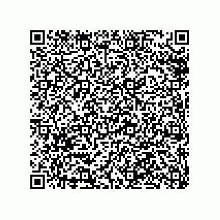 vCard 79506290339