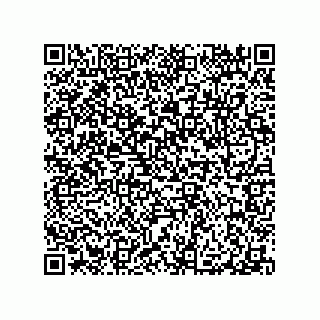 vCard 79506291069
