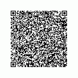 vCard 79506293003
