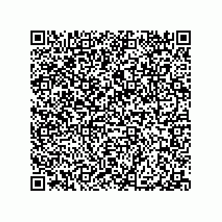 vCard 79506294131