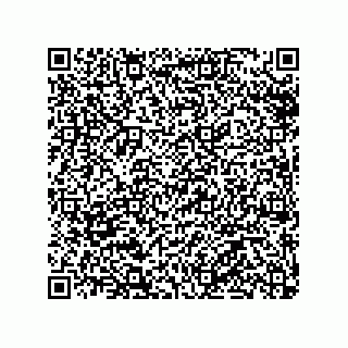 vCard 79506299413