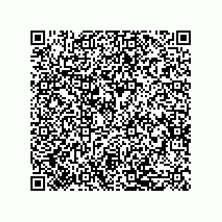 vCard 79506600132